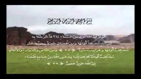 سعد الغامدي تلاوة نادرة مقام البيات