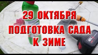 видео: 29 октября.  Подготовка сада к зиме картинка: 29 октября.  Подготовка сада к зиме