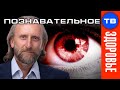 Почему портится зрение? Психосоматика близорукости (Валерий Синельников)