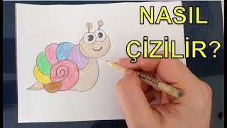 Sevimli Salyangoz Nasıl Çizilir? - Anaokulu Etkinlikleri - Okul Öncesi Etkinlikler - Easy Drawings