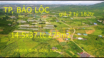 Đất Bảo Lộc - Nền Biệt Thự | 546m2 | 2 Mặt Tiền , 275m2 Thổ Cư | Nhánh Đinh Công Tráng | Lộc Châu.