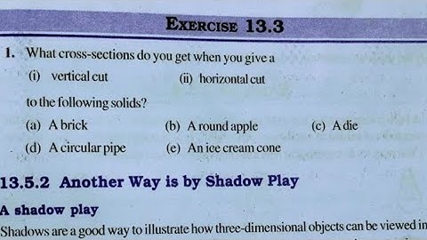 Visualising Solid Shapes | Class 7th maths l Exercise 13.3 l chapter 13 l NCERT l Solution l cbse |