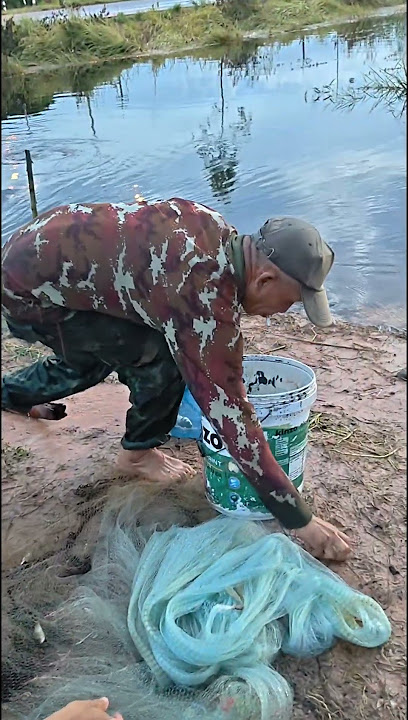 How to catch fish in the Isan style in Thailand
