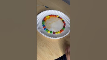 M&M Sience Experiment