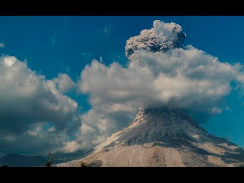 Video: ¿Cuáles son las fuentes de emisión de bonificaciones?