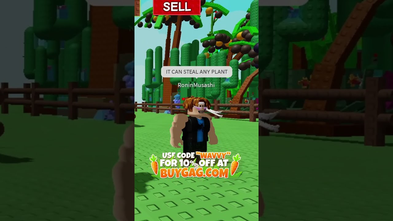 Don T Scam The Bacon Win A Raccoon 