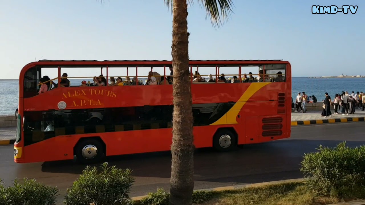 alexandria tour bus