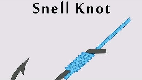 How to tie the Snell KNOT (Circle hook review)