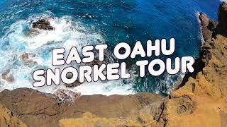 East Oahu Snorkel Tour with Aloha Exposure