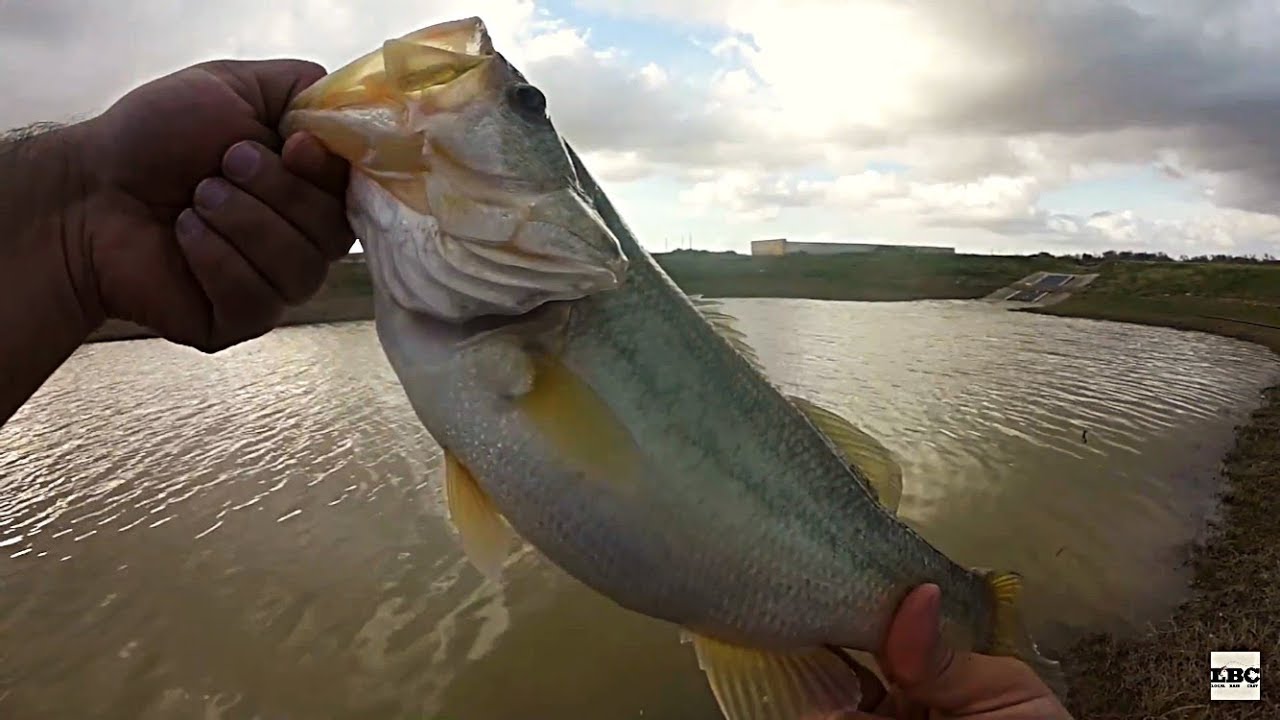 Houston Bass Fishing|Bass & Crappie|Katy, TX - YouTube