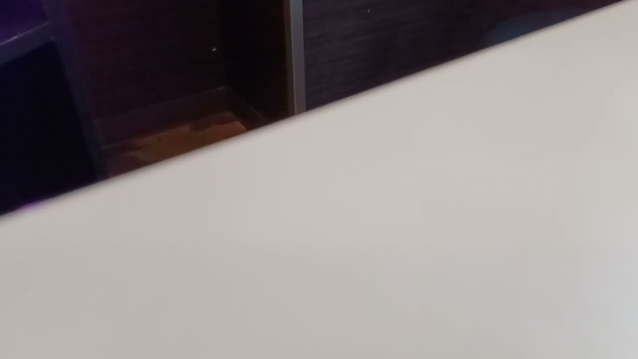 【歌ってみた】IRIS OUT