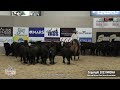 SJR DIAMONDS JUSTIFY shown by MATT KOCH - 2023 NRCHA Stallion Stakes (Herd, Open Derby Finals)