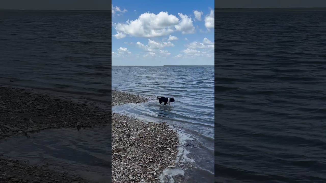 George Playing at Jeykell Island, Beach time ~ Sailing Free Spirit