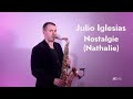 Julio Iglesias Nostalgie Nathalie Saxophone Cover By JK Sax mp3