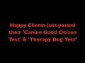 DOG TRAINING-PIT BULLS EARN CANINE GOOD CITIZEN CERT.