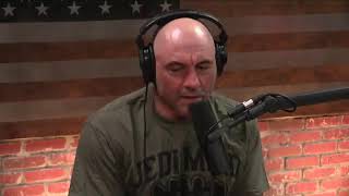 Joe Rogan Thinks MMA Needs More Weight Classes like Boxing!