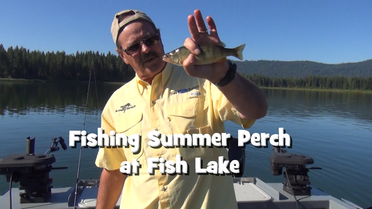 Summer Perch at Fish Lake YouTube