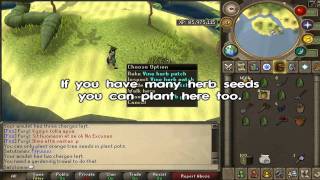 Runescape - Juju Farming potion guide .