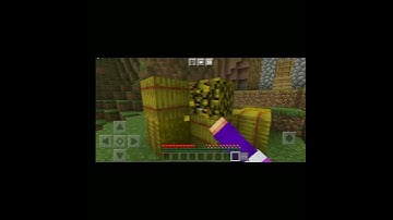 Minecraft, but i can