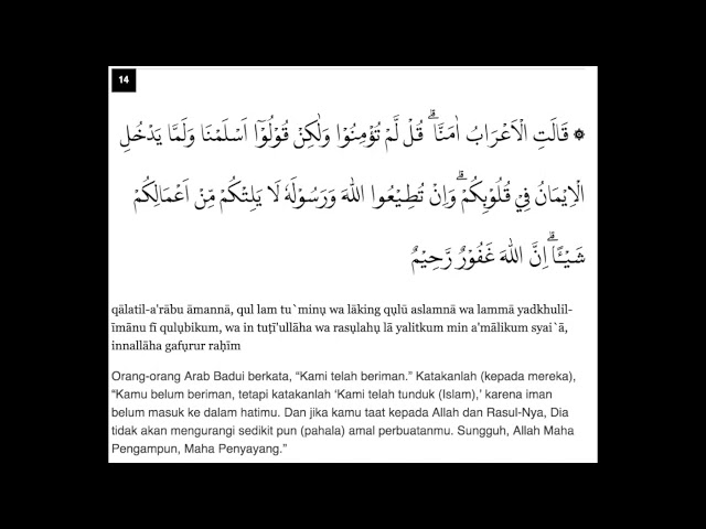 Garajda Sasha Grey porno