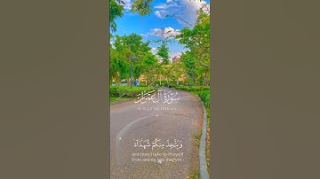 تلاوة خاشعة #explore #اكسبلور #subscribe #قرآن #قران_كريم #allah #قران #قران#عبدالباسط_عبدالصمد