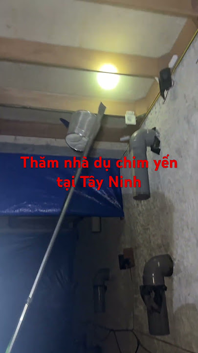 #chimyen #kythuatnuoiyen #xaynhatho #kythuatnhayen