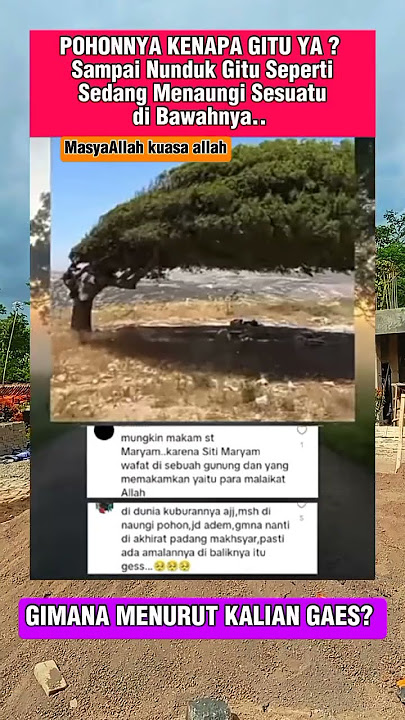 Download lagu MasyaAllah Pohon Ini Seperti Sedang Menaungi Sesuatu #shots #beritaterkini #beritaviral