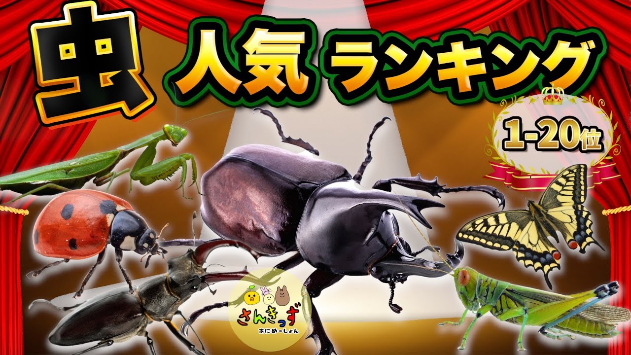 【子供向け 昆虫アニメ】虫ランキングTOP20★カブトムシ、クワガタムシ、ダンゴムシなど人気のいきもの20種をランキング形式で発表！君の好きな虫は何位かな？【  夏休み向け★虫さん 生き物の知育動画】