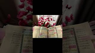 Abaabone Olalım Inşallah🤲🌼