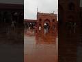 Delhi Jama masjid🏯 #shorts #ytshorts #rainyday #frozenways