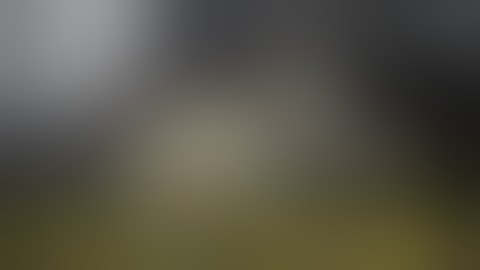 One of The BEST Sig P Series Upgrades! The Gray Guns P-SAIT Trigger