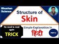 Structure of Skin (Dermis and Hypodermis) - Integumentary System- Trick- in Hindi | Bhushan Science