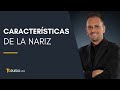 Características de la nariz