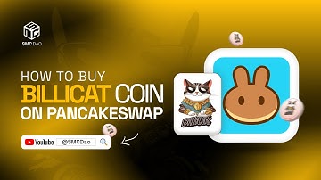 How To Buy Billicat Coin On Pancakeswap