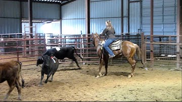 Valley View Ranch - Smooth And Smart - sorting 3