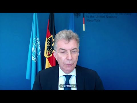 Germany's UN envoy asks China to free Spavor, Kovrig