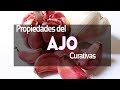 propiedades del ajo curativas.Para que sirve el ajo como planta medicinal