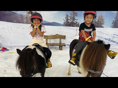 Video: Apakah ada salju di kuda?