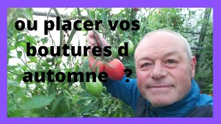 Réussir tous vos boutures !!!!  où les placer ?