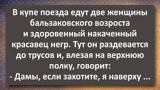 Две Женщины В Поезде И Здоровенный Негритян! Сборник Самых Свежих Анекдотов! Юмор!