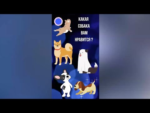 Выберите собаку... и поймете кто вы...