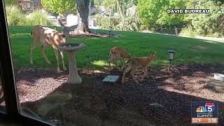 Snaps on sunrise 8/18/2026