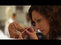 School of Medicine Trinity Ireland
