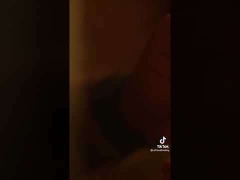 يوم ميلادك يوم ما علي الدنيا انت جيت