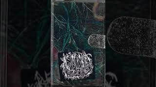 Emeralds - Allegory Of Allergies (Cassette Rip)