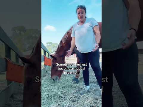 #ADD and #horses #youtube #youtubeshorts #tiktok