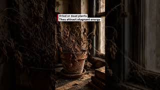 Remove These 5 Items From Home & Attract Money Fast | Vastu Secrets