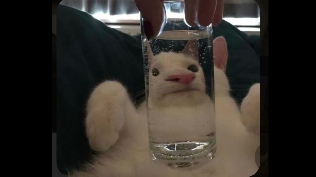 Drunk(And I don’t wanna go home) ~ Miranda lambert & Elle king (sped up)