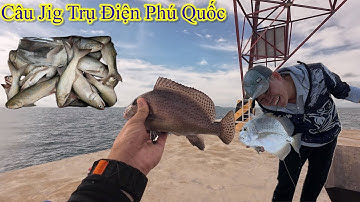 Câu jig Trụ Điện Phú Quốc | Vịnh Ba Hòn | Tuấn Outdoor