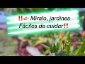 ‼️🧑🏽‍🌾😲Jardines fáciles de cuidar😃🪴🤔‼️